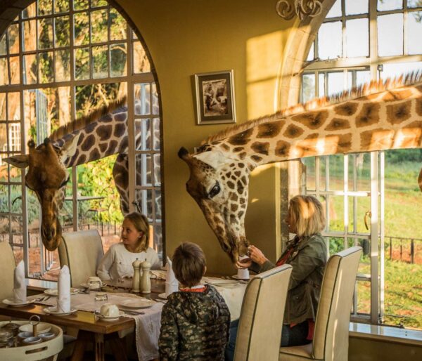 Giraffe manor