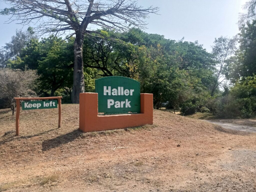 Haller park