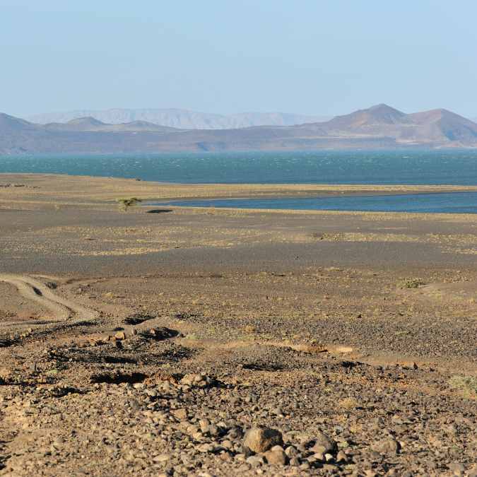 turkana