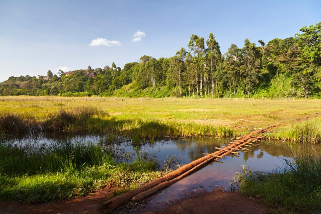 ondiri swamp