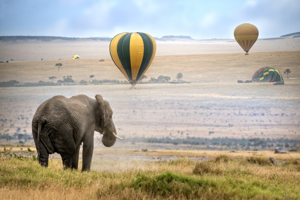 balloon safaris