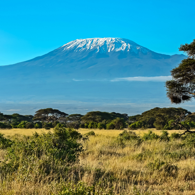 mt kenya