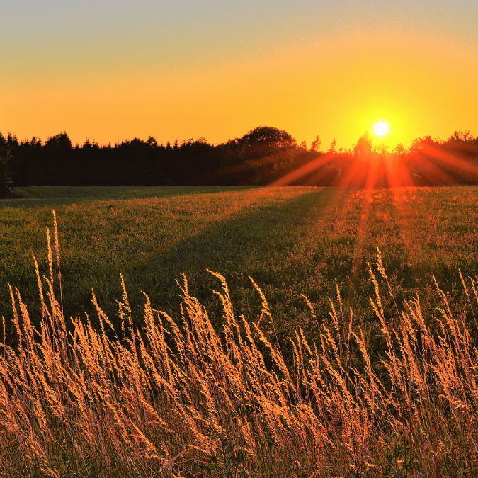 countryside