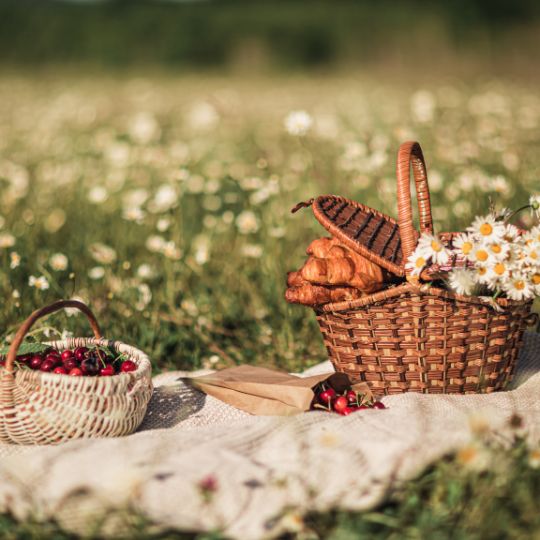 picnic