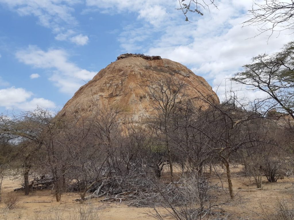 kora national park